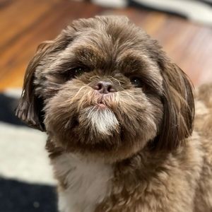 Meet your Posher, Deborah